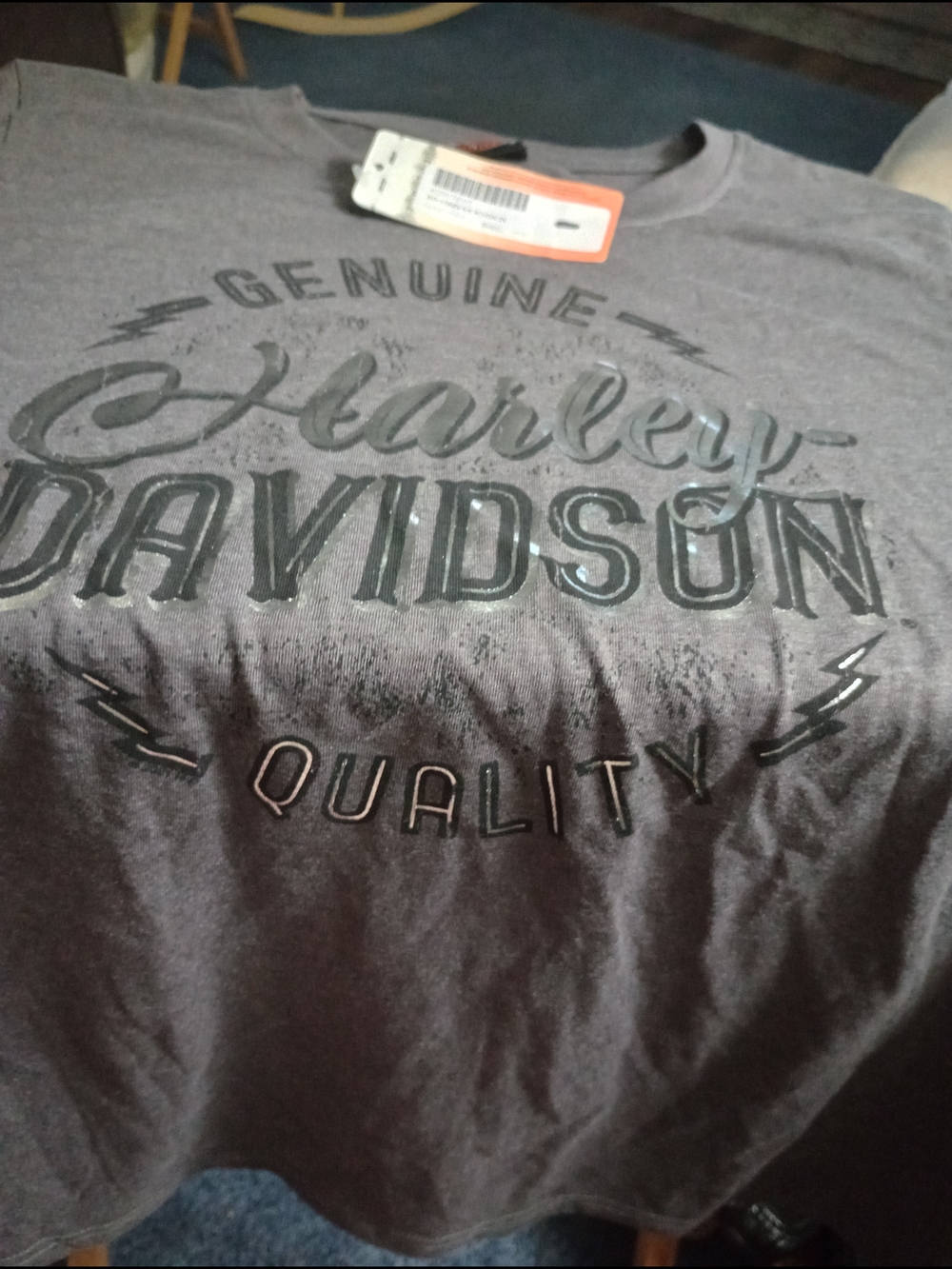 Harley-Davidson Men’s Gray Graphic T-Shirt
